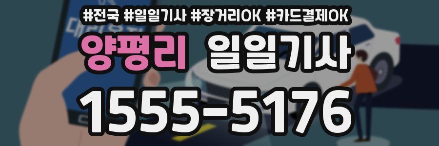 양평리 일일기사