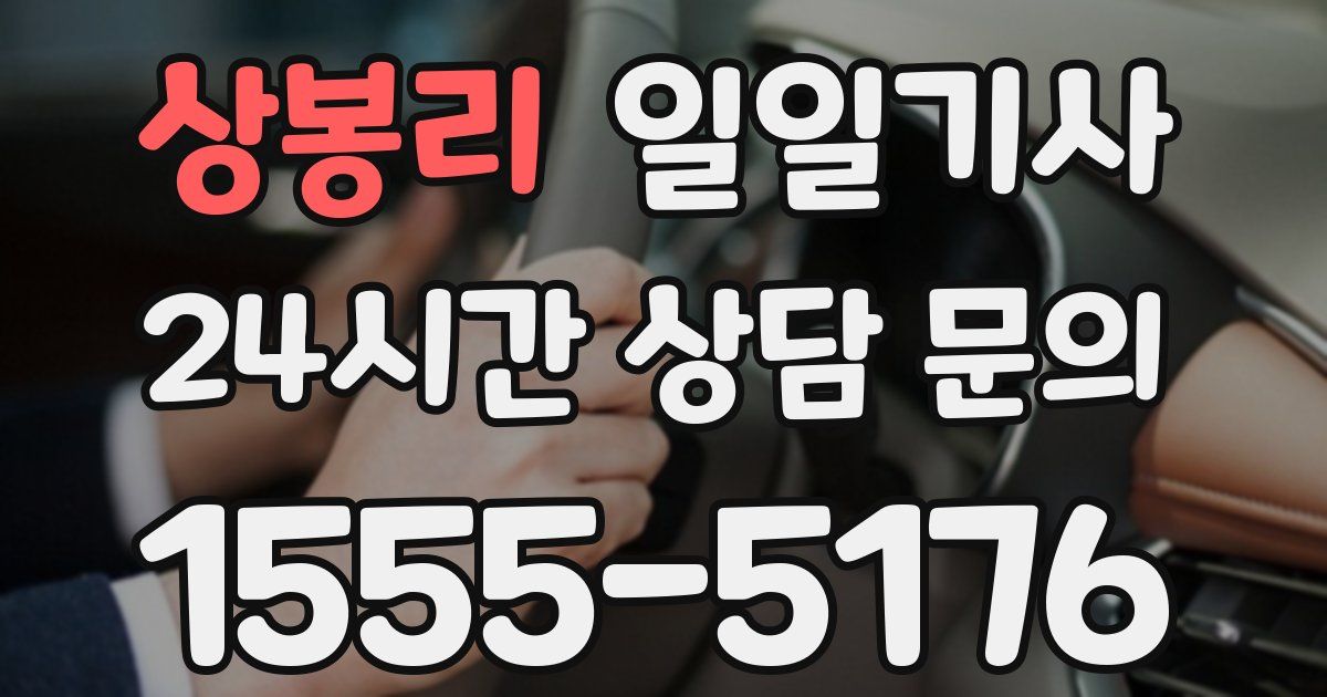 일일대리기사