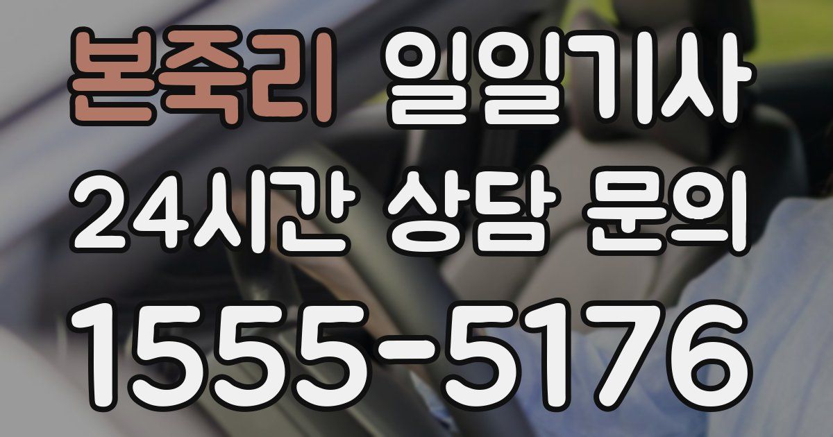 일일대리기사