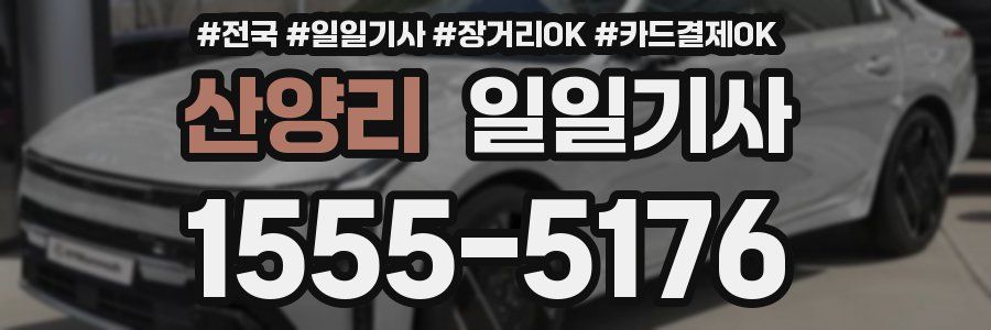 산양리 일일기사