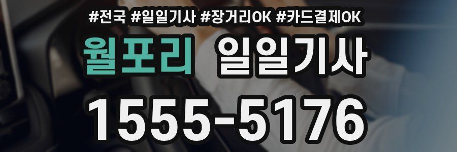 월포리 일일기사