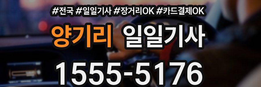 양기리 일일기사