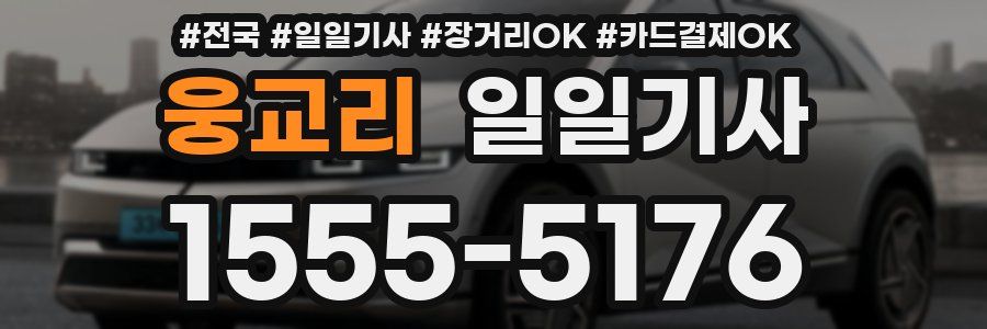 웅교리 일일기사