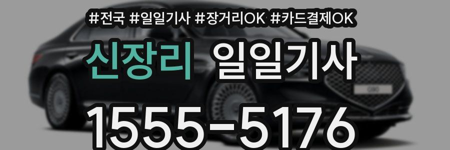 신장리 일일기사