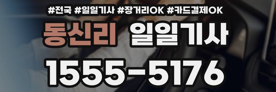 동신리 일일기사