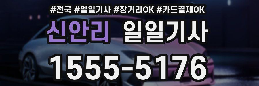 신안리 일일기사