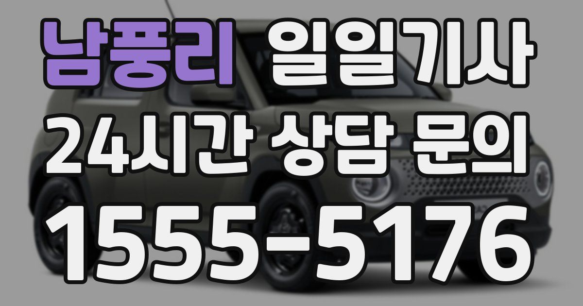 일일대리기사