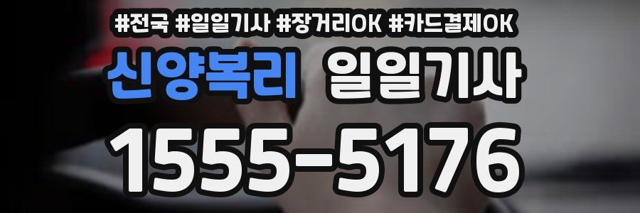 신양복리 일일기사