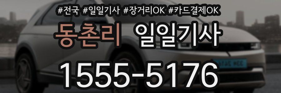 동촌리 일일기사