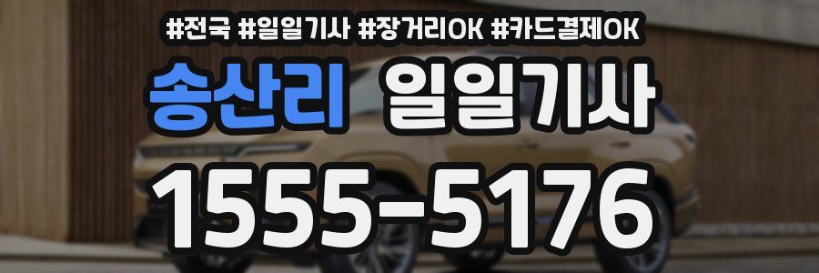 송산리 일일기사