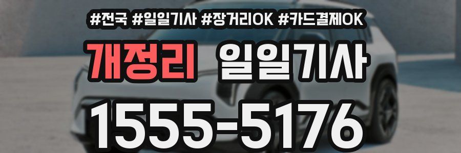 개정리 일일기사