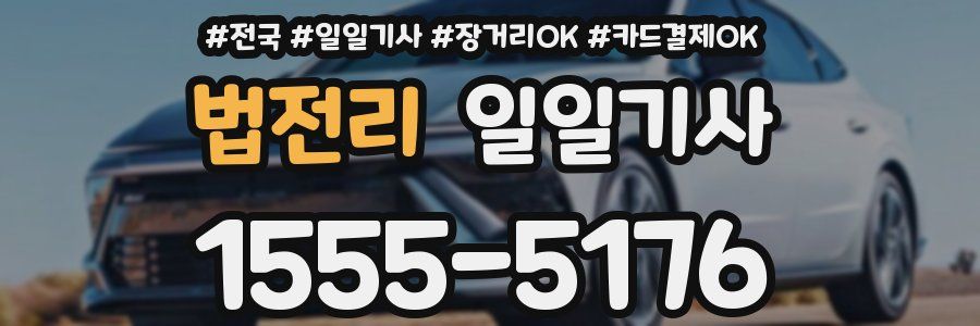 법전리 일일기사