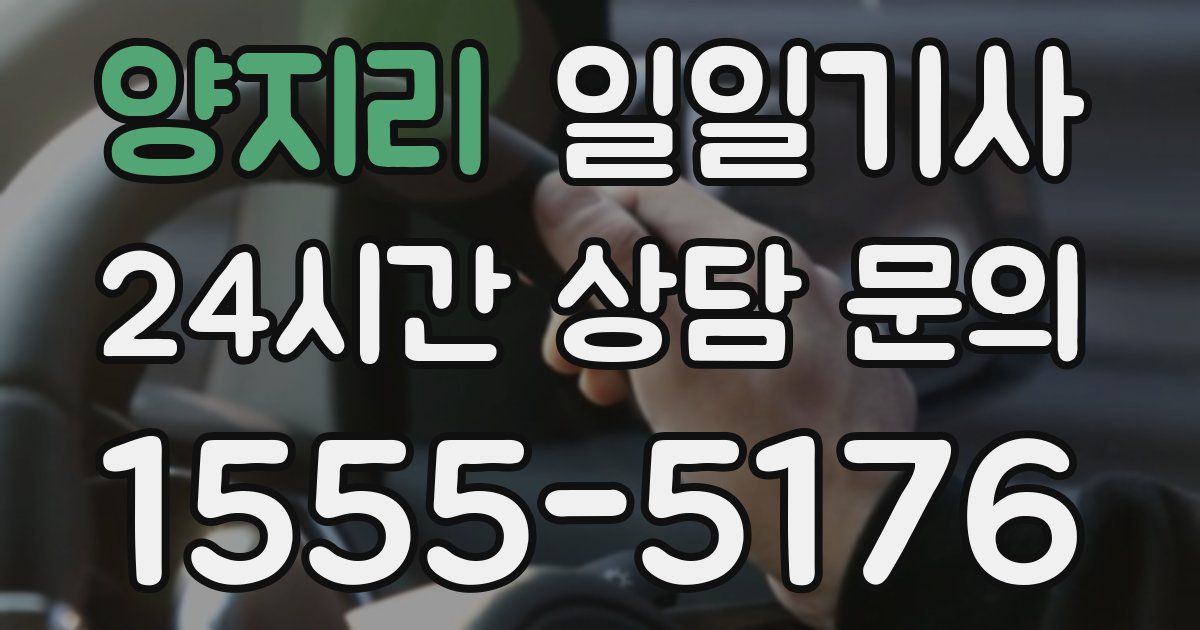일일대리기사