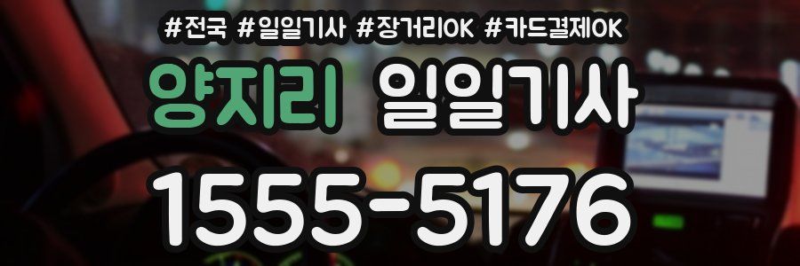 양지리 일일기사