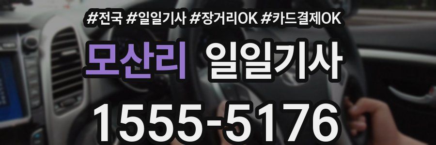 모산리 일일기사