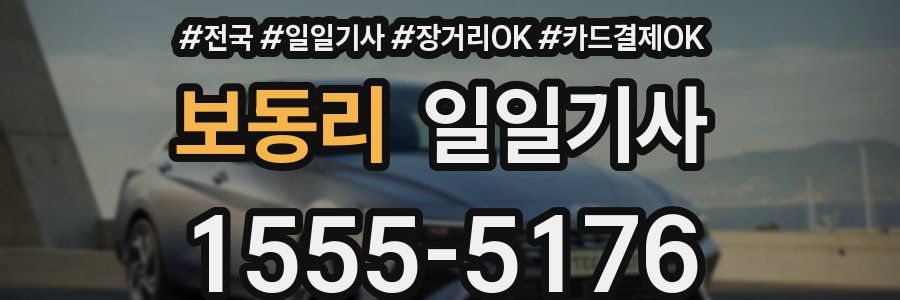 보동리 일일기사