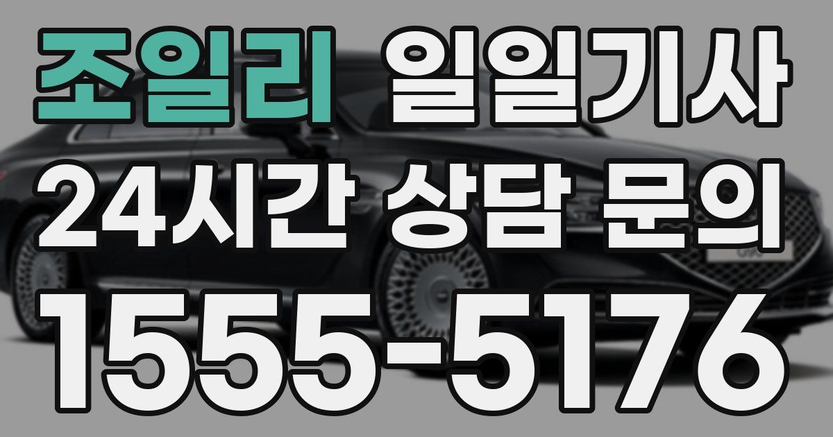 일일대리기사