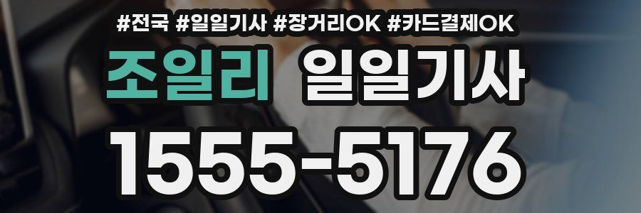 조일리 일일기사