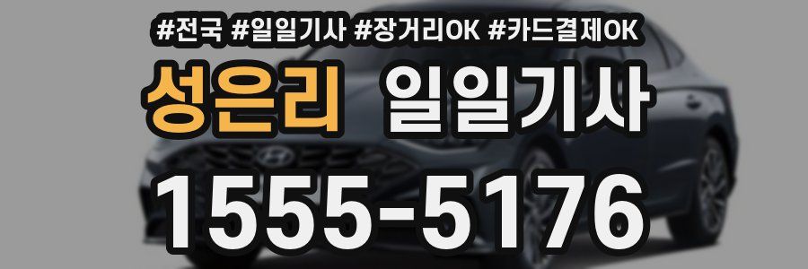 성은리 일일기사