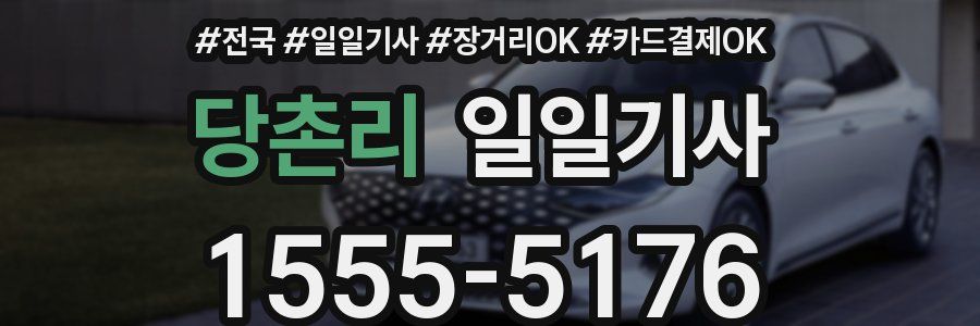 당촌리 일일기사
