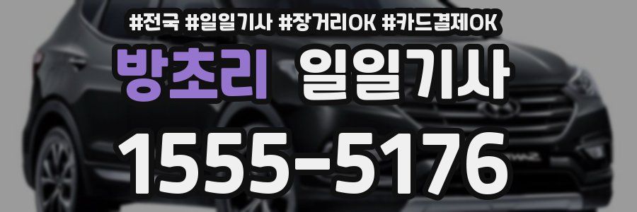 방초리 일일기사