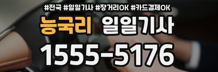 능국리 일일기사