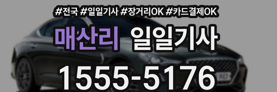 매산리 일일기사