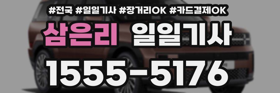 삼은리 일일기사