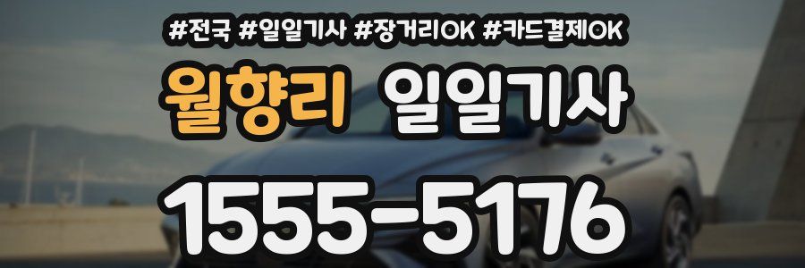 월향리 일일기사