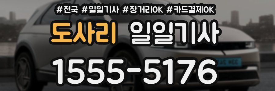 도사리 일일기사