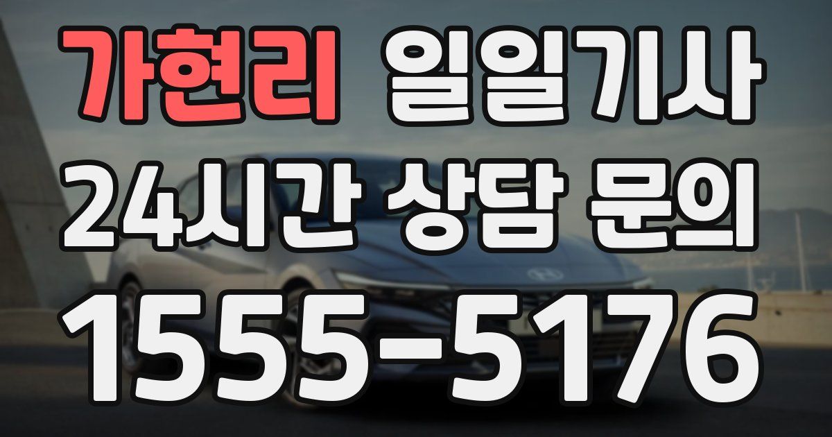일일대리기사