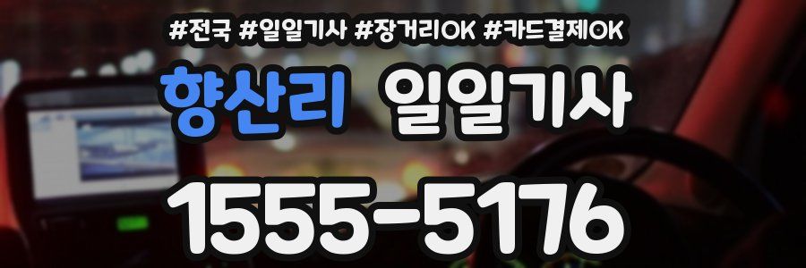 향산리 일일기사