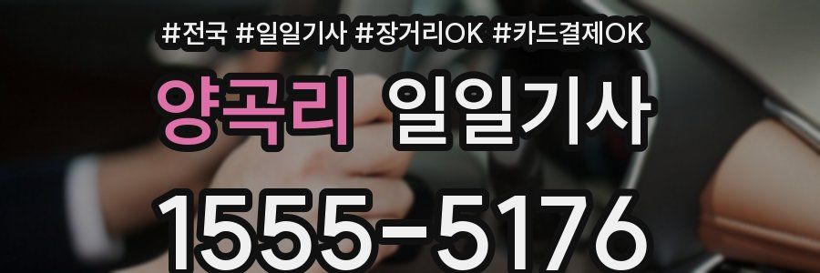 양곡리 일일기사