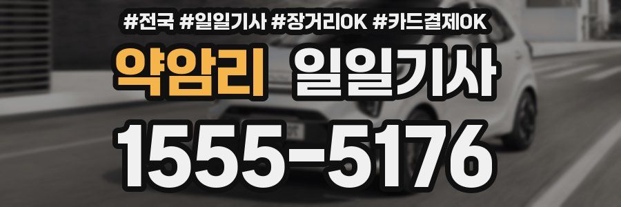 약암리 일일기사