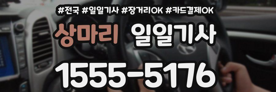 상마리 일일기사