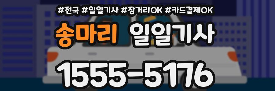 송마리 일일기사