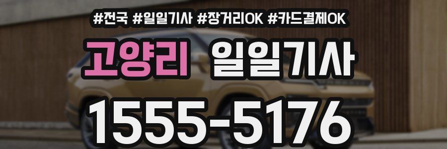 고양리 일일기사