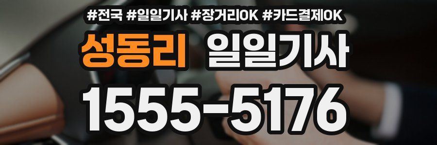 성동리 일일기사