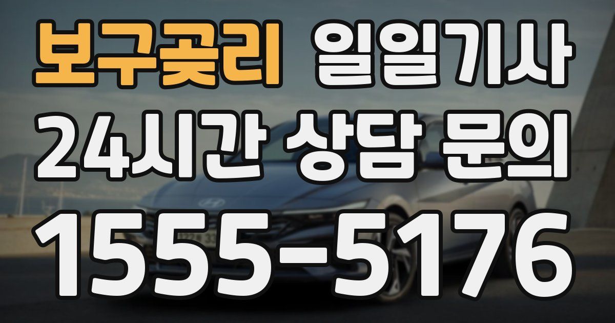 일일대리기사