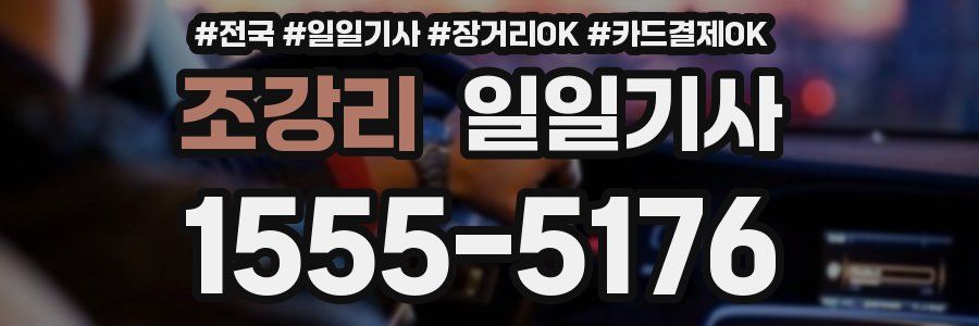 조강리 일일기사