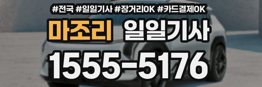 마조리 일일기사