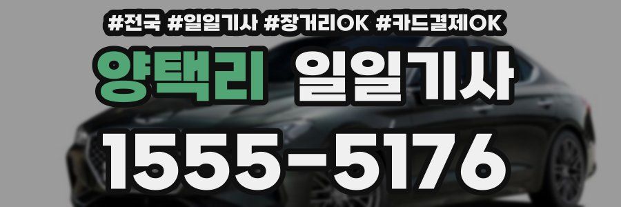 양택리 일일기사