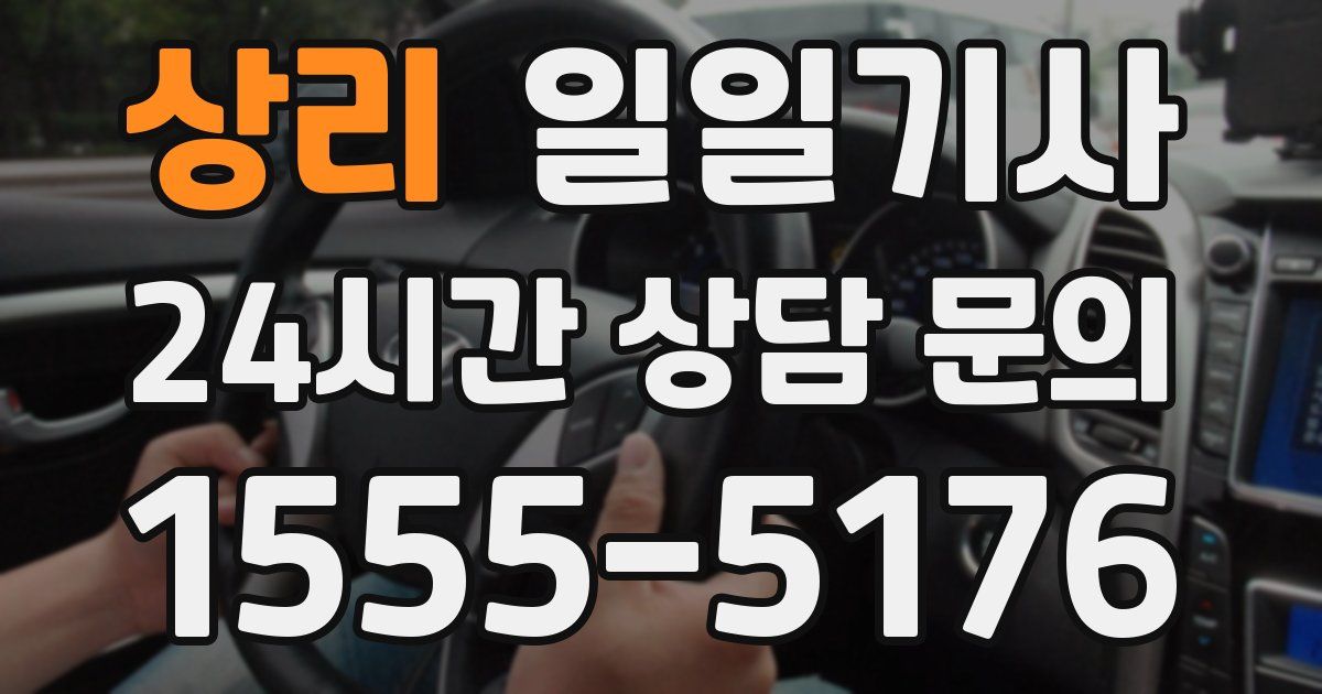 일일대리기사