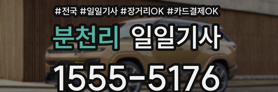 분천리 일일기사