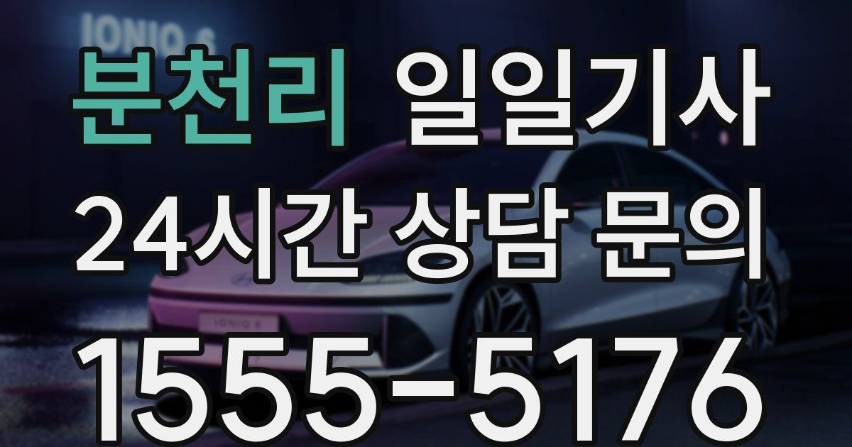 일일대리기사