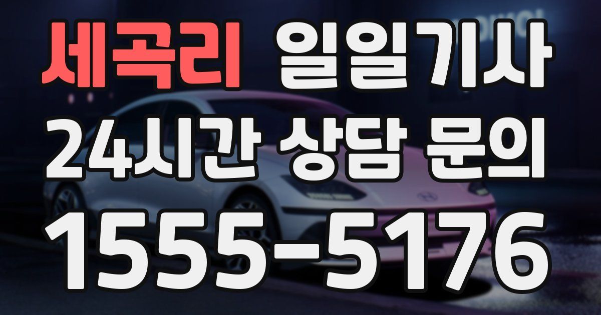 일일대리기사