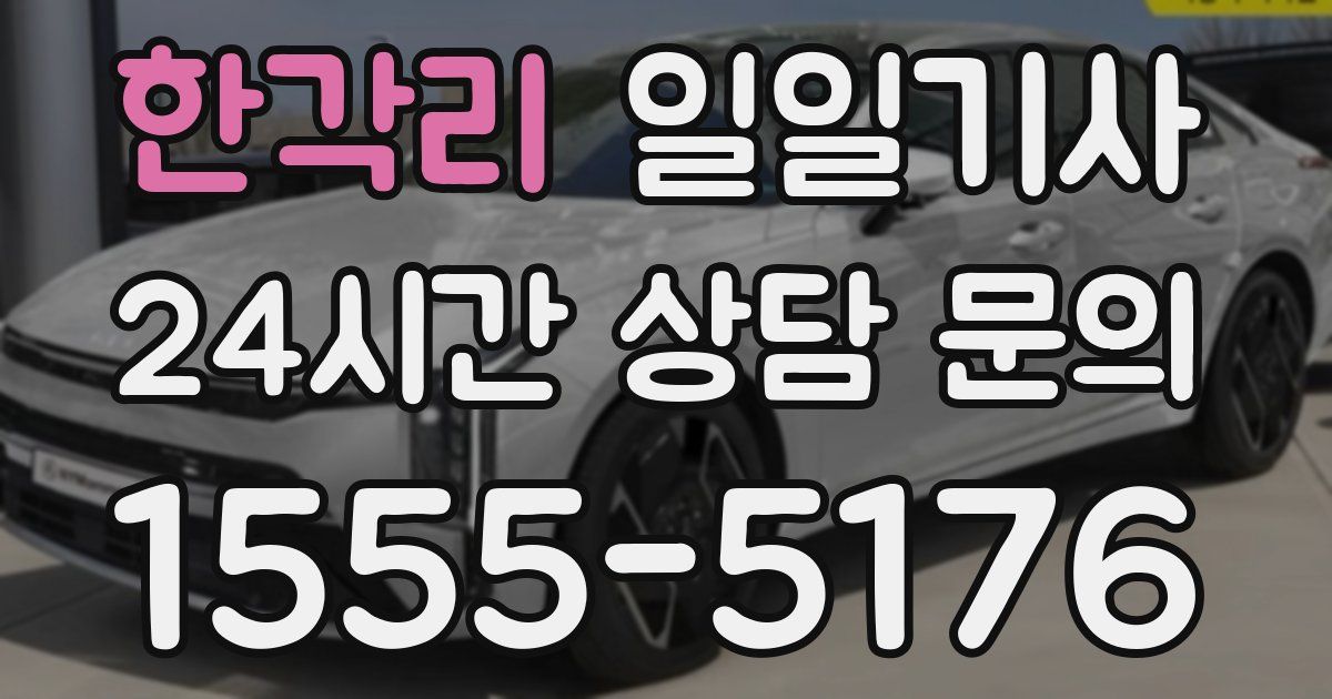 일일대리기사