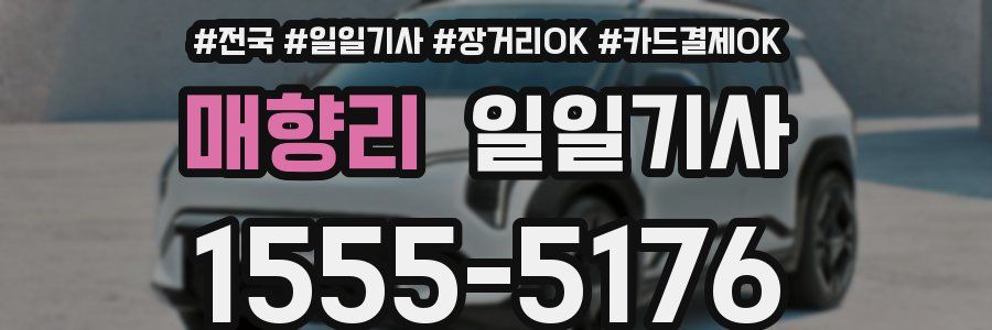매향리 일일기사