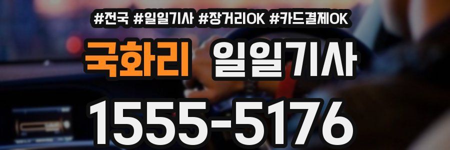 국화리 일일기사