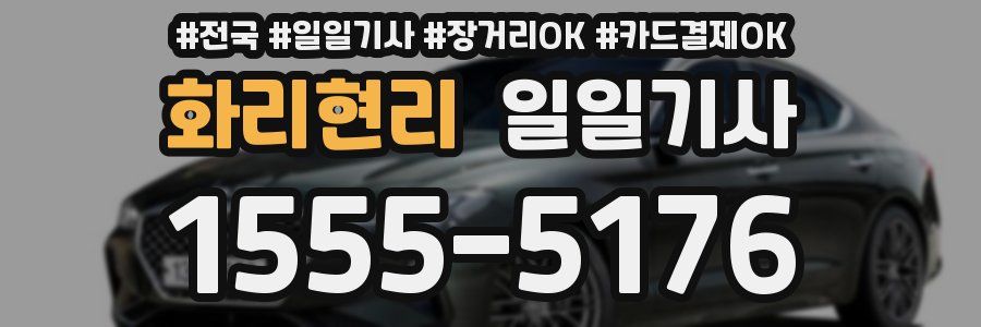 화리현리 일일기사